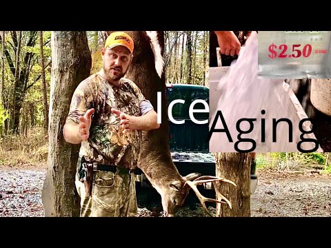 Aging meat on ice — anybody can do this!