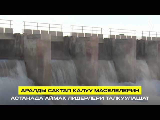 Аралды сактап калуу маселелерин Астанада аймак лидерлери талкуулашат
