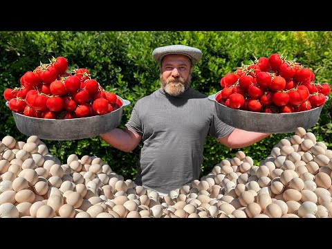 Scrambled eggs with Tomatoes in Azerbaijani! Delicious Summer Dish