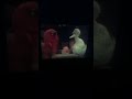 Sesame Street Episode 2593 Ending