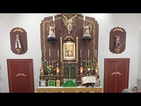 Domingo Octavo Después de Pentecostés. San vicente de Paúl, Confesor