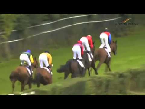 15.09.2013 Düsseldorf 5.Rennen Gr. Preis v. Engel&Völkers-89.Junioren-Preis 2013-Listenr.(A) 1.600 m
