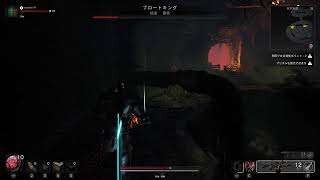 レムナント２　12