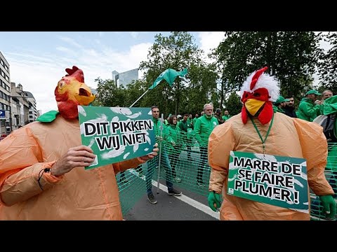 Video Thumbnail: Tens of thousands march in Brussels during Belgium national strike