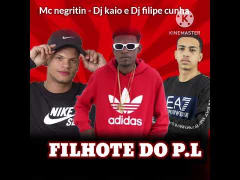 MC NEGRITIN - FILHOTE DO P.L - DJ KAIO DA V.O & DJ FILIPE CUNHA 2K23