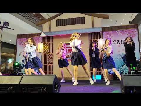 Hatobito : Heartbeat @ Japan Canival - Central Si Racha【4K 60fps】