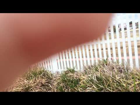 Sct Melbourne to Adelaide               Sorry for not fireing nr 82 and I hope you all for Anzac Day