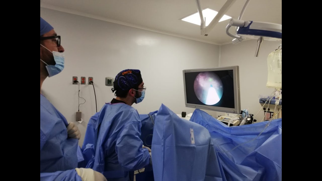 Eli Jalil Camilo Martínez-26