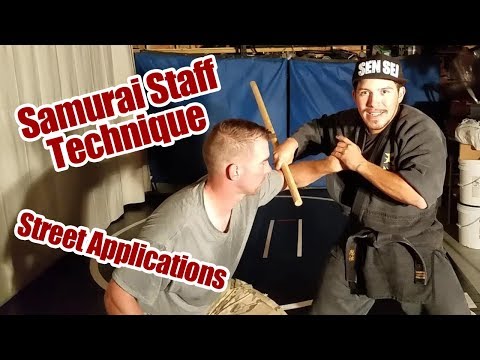 Bujinkan Hanbo: Hiki Taoshi & Tactical Pen | Kata to the Streets #8