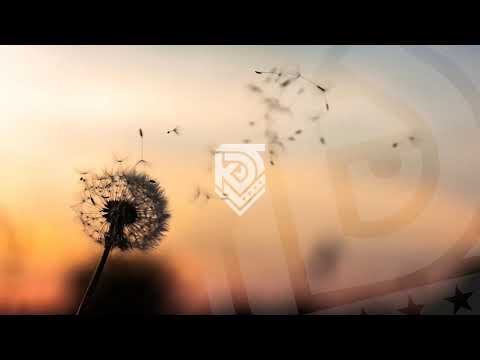 Kadet - Gdzie jesteś? | prod. Vintageman