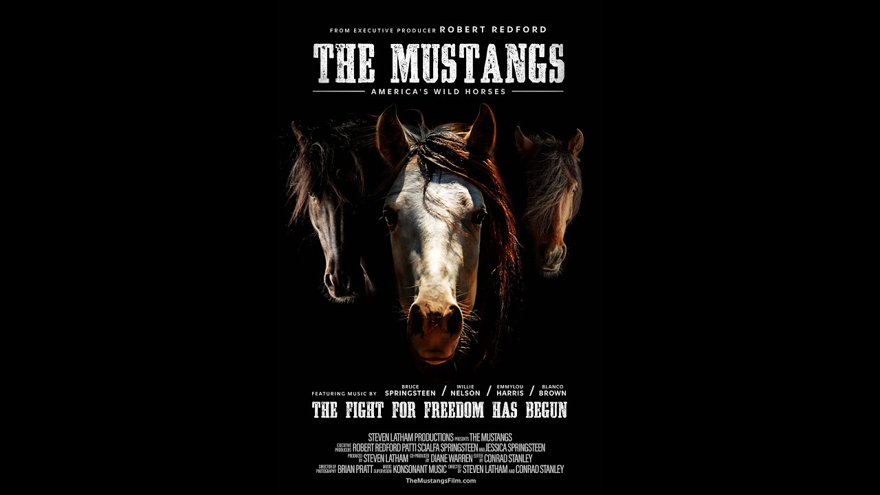 The Mustangs: America's Wild Horses | Official Trailer (2024)