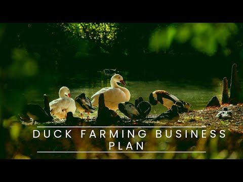 , title : 'Duck Farming Business Plan'