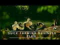 Duck Farming Business Plan