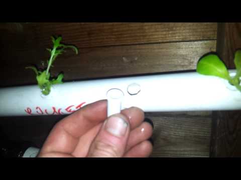 DIY Hydroponics, organic, recycled , Day 17 update PART 2, PLEASE READ DESCRIPTION