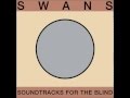 Swans - Secret Friends