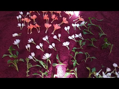VIRAJAJI flowers & KANAKAMBARA flowers Garland||Garland making ideas||DIY Garland||Trending ideas