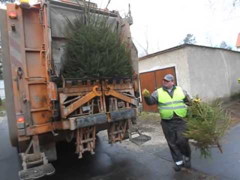 Paraziták az emberek vérében