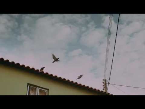 Gradur - Illégal ft.Black M