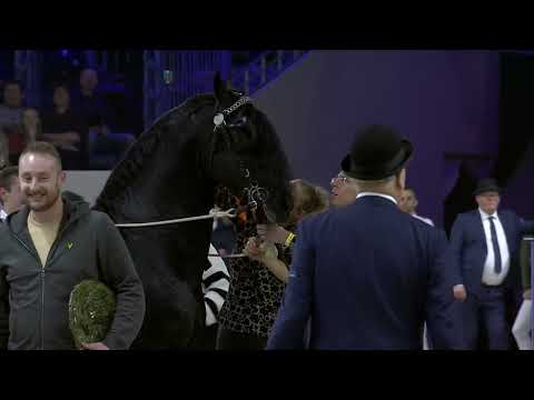 HK 2024   Rubriek 7   Keuring van de ingeschreven stamboekhengsten goedgekeurd via Verkort Onderzoek