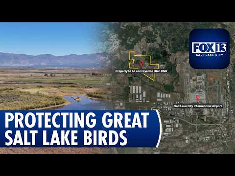 Why is this Great Salt Lake wetlands sale facing pushback?