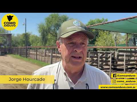 Jorge Hourcade; Hourcade Albelo y Cía. Esp Hembras,Rauch 24/2/26.