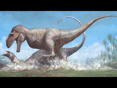 Carcharodontosaurs: Great Dragons of the Southern Hemisphere