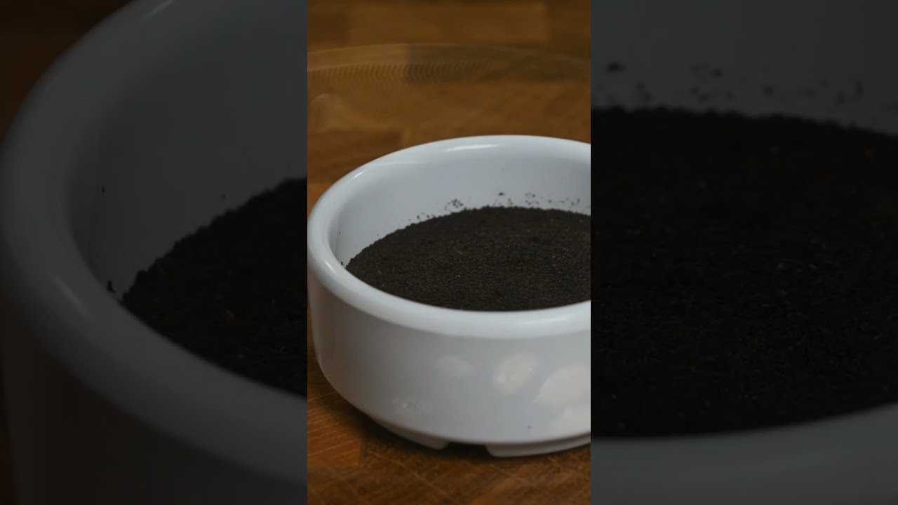 طريقة صنع شاي ماسلا شاي رائع