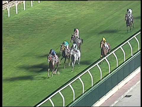 Galoppo 03/11/2016 - 6ª corsa