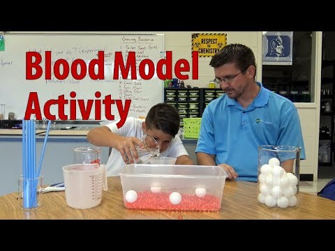EpicScience - Blood Model Activity