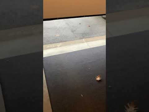 Armor All Original Garage Floor Mat Review