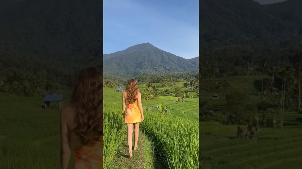 Rice Terrace Trekking Jatiluwih - Video Preview