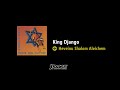 King Django - Heveinu Shalom Aleichem (JPOLAKUS SKA WORLD)
