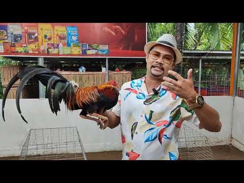 The Story of Our Bruce Barnett Sweaters