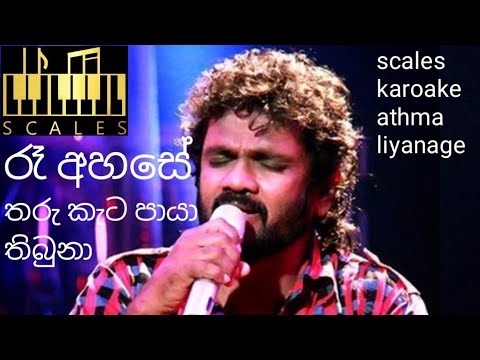 ra ahase tharukata paya thibuna karoake without-voice (acoustic version )රෑ අහසේ  කැරෝකේ