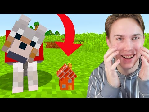 Verdens Mindste Hus!! - Dansk Minecraft