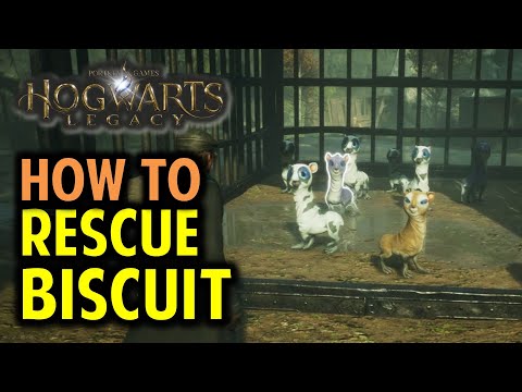 How to Identify & Rescue Biscuit | Take the Biscuit | Hogwarts Legacy