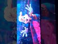 Bugs Bunnys Death