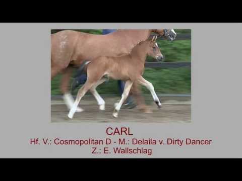 Hf Cosmopolitan x Dirty Dancer