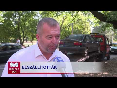 Videó előnézet