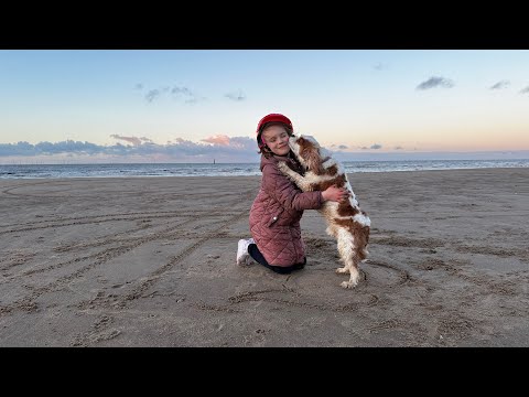 Prestatyn beach from above DJI magic air