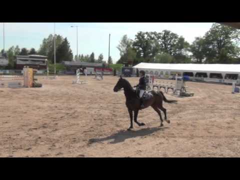 Rasputin Norrköping Horse Show 4a 120 22/6-14