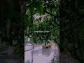 Irupathu Kodi Nillavukal Whatsapp Status Full Screen Status Lyrics Vijay Love Song