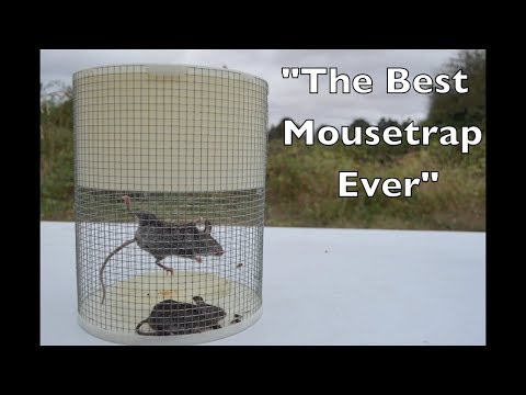 Advertised As "The Best Mouse Trap Ever" - CasMac Mouse Trap In Action Full Review