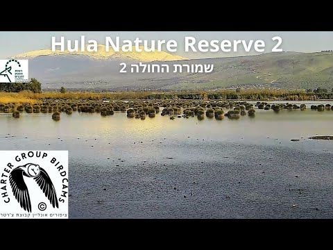 Hula Nature Reserve Bird Cam 2