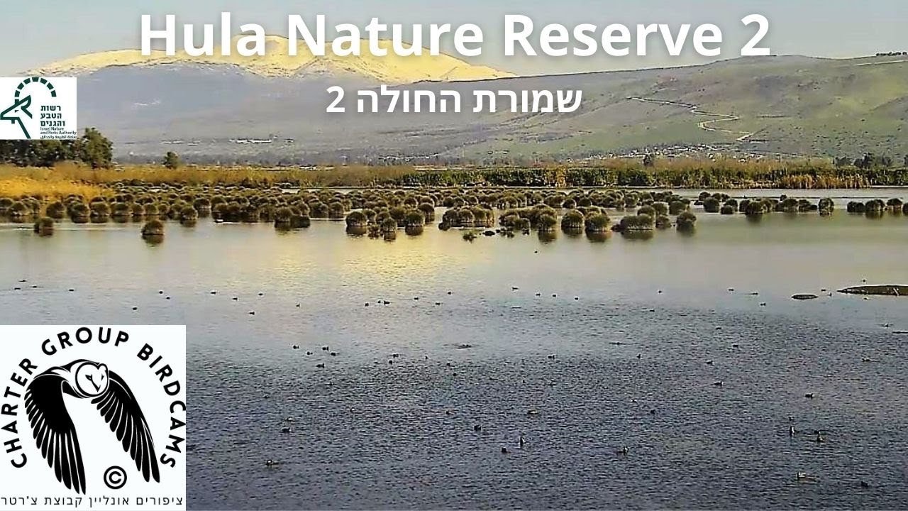 Live webcam view of Vigilancia del Humedal de Hula