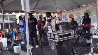 Kalimba EWF Tribute Band That's The Way Of The World July 3, 2016