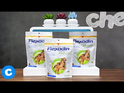 Flexadin forte 60 CHEWS