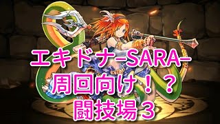 【実況パズドラ】エキドナ−SARA−で闘技場３楽々周回