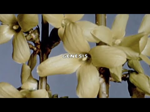 Genesis - SuicideBoys