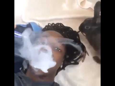 E-Zigarette Fail - Lustiges Video